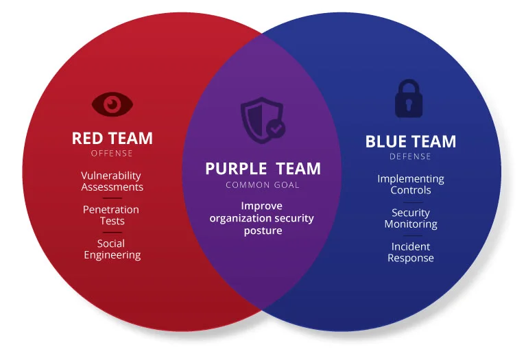 Purple Team Image